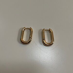 Gold Loop Earrings